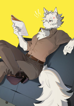 anthro belt boots bottomwear clothed clothing collar cross-popping_vein footwear fur furniture hair male on_sofa pants reading red_eyes shirt shoes sitting sitting_on_sofa sofa solo tail text topwear tuft white_body white_fur hinasuke_0420 mihoyo zenless_zone_zero von_lycaon canid canine canis mammal wolf 2024 absurd_res hi_res