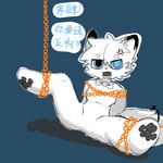 1:1 bdsm blue_eyes bondage bound bow_tie chain chain_bondage chained chained_up cheek_tuft chinese_text facial_tuft finkw fluffy fluffy_hair fluffy_tail fur hair hands_behind_back hi_res male open_mouth pawpads paws raised_leg shadow solo speech_bubble spread_legs spreading tail text tuft whicker white_body white_fur