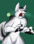 anthro ball black_body black_fur featureless_crotch fur looking_away male open_mouth solo teeth tennis_ball throwing_object white_body white_fur foxenawolf canid canine canis domestic_dog husky mammal nordic_sled_dog spitz werecanid werecanine werecreature weredog werehusky