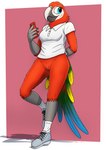 anthro bottomless bottomless_female breasts clothed clothing collared_shirt female footwear fully_clothed genitals medium_breasts polo_shirt pussy shirt shoes solo topwear fish_birb samantha_(fish_birb) avian bird macaw neotropical_parrot parrot true_parrot absurd_res hi_res