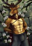 abs alternate_species alternate_version_at_source anthro antlers biceps bulge cape clothed clothing deer digital_media_(artwork) disney flower furrification horn looking_at_viewer male mammal medieval muscular muscular_anthro muscular_male new_world_deer nipples outside plant prince reindeer royalty sevenarms smile snow_white_and_the_seven_dwarfs solo standing the_prince_(snow_white) topless