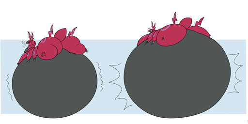air_inflation antennae_(anatomy) belly belly_expansion big_belly big_butt black_body black_eyes blue_background bodily_fluids body_inflation border breath butt butt_expansion expansion eyes_closed female feral huge_belly huge_butt hyper hyper_belly hyper_butt hyper_inflation immobile inflation lying multicolored_body on_front rear_view red_antennae red_body red_tail simple_background solo spiral spiral_eyes sweat sweatdrop swelling tail two_tone_body white_border yellow_sclera boxibloon nintendo pokemon arthropod generation_5_pokemon pokemon_(species) scolipede 2025 absurd_res colored digital_drawing_(artwork) digital_media_(artwork) flat_colors hi_res sequence signature
