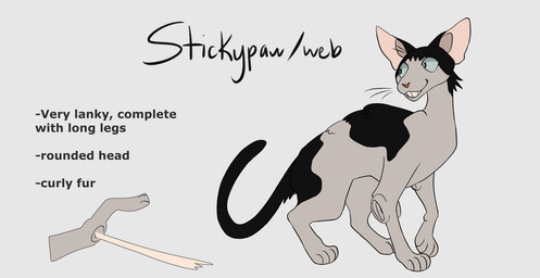 ambiguous_gender big_ears black_body black_fur feral feralized fur grey_body grey_fur long_tail mottled short_fur simple_background slim solo tail text white_background segamastergirl my_hero_academia warriors_(book_series) hanta_sero domestic_cat felid feline felis mammal 2019 crossover english_text model_sheet