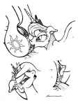 2013 anus crown cunnilingus cutie_mark duo english_text equine female feral friendship_is_magic horn horse ihavnoname incest lesbian looking_at_viewer looking_back lying monochrome my_little_pony on_front oral oral_sex plain_background pony princess_luna_(mlp) pussy sex sibling sisters text tongue vaginal white_background winged_unicorn wings
Rating: Explicit
Score: 6
User: Falord
Date: August 24, 2013
