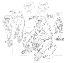 5_fingers 5_toes balls feet feral fingers flaccid fur genitals male penis tail toes tuskito baboon haplorhine mammal monkey old_world_monkey primate absurd_res hi_res monochrome