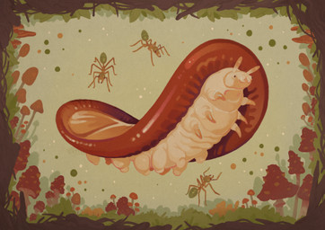 ambiguous_gender antennae_(anatomy) black_eyes feral fungus grass group mandibles multi_limb mushroom nature plant white_body cuttledreams ant arthropod brassolis_caterpillar caterpillar green_ant hymenopteran insect larva digital_drawing_(artwork) digital_media_(artwork) hi_res warm_colors