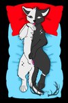bedding black_body black_fur blanket female feral fluffy fluffy_chest fur heterochromia open_mouth paws pillow revealing_pussy solo white_body white_fur mettdesign_(artist) domestic_cat felid feline felis mammal 2:3 alpha_channel