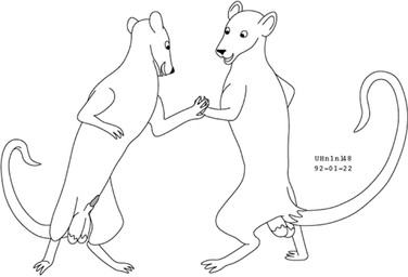 animal_genitalia balls duo feral fur genitals male male/male male_feral nude_male sheath smile standing tail toony urbanhermit mammal murid murine rat rodent 1992 black_and_white dated monochrome