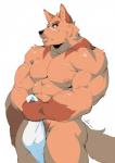 abs anthro biceps big_muscles black_nose brown_body brown_fur bulge facial_scar fur looking_at_viewer male muscular muscular_anthro muscular_male nipples nude pecs pink_nipples red_eyes scar simple_background solo standing triceps white_background canyne_khai kawe canid canine canis mammal wolf