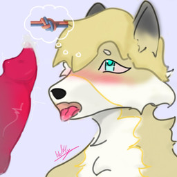 anthro blonde_hair blue_eyes blush bodily_fluids breath cum duo fluffy flustered fur genital_fluids genitals hair hot_cum knot male male/male panting penis red_knot saliva sex simple_background thought_bubble tongue tongue_out white_body white_fur waltyzwaffles fudgyfloof bird_dog canid canine canis domestic_dog golden_retriever hunting_dog mammal retriever 1:1 hi_res