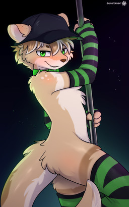 anthro arm_warmers armwear biped black_clothing black_footwear black_socks bottomless clothed clothing collar dancing femboy footwear fur furgonomic_headwear furgonomics green_clothing green_eyes green_footwear green_socks hat headgear headwear leather leather_hat leather_headgear leather_headwear legwear looking_at_viewer male multicolored_body multicolored_fur pattern_arm_warmers pattern_armwear pattern_clothing pattern_footwear pattern_legwear pattern_socks pole pole_dancing socks solo striped_arm_warmers striped_armwear striped_clothing striped_footwear striped_socks stripes tail tan_body tan_fur snowstormbat adrian_(snowstormbat) mammal mustelid otter 5:8 hi_res