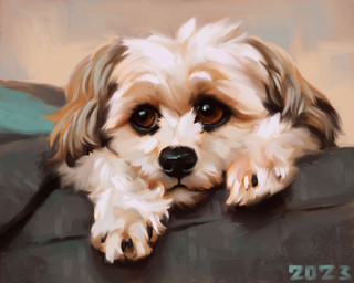 black_claws black_nose brown_eyes claws curled_fur feral fluffy fur furniture grey_ears lying on_sofa quadruped sofa solo white_body white_fur alexpahomov canid canine canis domestic_dog mammal mixed_breed 2023 5:4 digital_media_(artwork) digital_painting_(artwork) hi_res painting_(artwork)