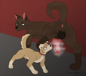 animal_genitalia animal_penis anus balls blush bodily_fluids butt canine_genitalia canine_penis collar cut_ear dripping duo erection feral fur genital_fluids genitals knot knotted_penis leaking_precum male male/male musk musk_cloud penis precum precum_drip precum_string scar scratches sheath simple_background size_difference sweat tail text rankedredpanda canid canine canis domestic_dog mammal digital_drawing_(artwork) digital_media_(artwork) english_text hi_res signature