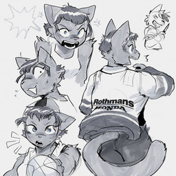 anthro ball basketball_(ball) blue_eyes bottomwear clothed clothed_anthro clothed_female clothing eyebrows female female_anthro fingers front_view fur hair holding_basketball looking_at_viewer looking_back narrowed_eyes rear_view shirt short_hair simple_background tail tank_top topwear white_background conditional_dnp sonokido honda ventura_city_drifters alina_scratch domestic_cat felid feline felis mammal russian_blue 1:1 2025 absurd_res digital_media_(artwork) hi_res