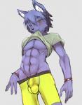 2016 abs anthro blush bracelet bulge canid canine clothed clothing clothing_lift detailed_bulge genital_outline hi_res jewelry looking_at_viewer male mammal muscular muscular_anthro muscular_male navel pecs penis_outline rainichi shirt shirt_lift slim solo standing topwear v-cut