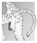 anthro anus balls butt circumcised flaccid genitals humanoid_genitalia humanoid_penis male one_leg_up penis perineum presenting presenting_hindquarters raised_leg raised_tail solo tail homogenousrule felid mammal pantherine tiger digital_media_(artwork) hi_res monochrome