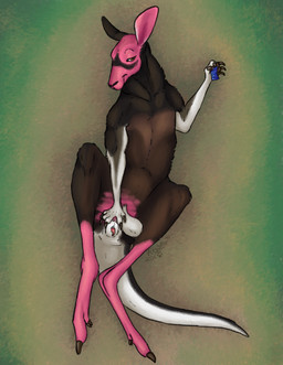 abstract_background anatomically_correct anatomically_correct_genitalia anatomically_correct_penis animal_genitalia animal_penis balls balls_above_penis bedroom_eyes black_body black_fur brown_body brown_eyes brown_fur claws condom feral fur genitals holding_condom holding_object lying male marsupial_penis narrowed_eyes on_back paws penis pink_body pink_fur presenting presenting_penis seductive sexual_barrier_device smile solo white_body white_fur regsmutt kangaroo macropod mammal marsupial red_kangaroo 2026 digital_drawing_(artwork) digital_media_(artwork) full-length_portrait hi_res portrait