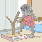 anthro female kemono solo towel towel_only weighing_scale ekaki510 koala mammal marsupial vombatiform 1:1