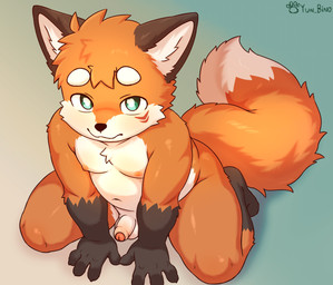 4_fingers anthro balls fingers fluffy fur genitals gloves_(marking) kneeling male markings nipples nude orange_body orange_fur penis slightly_chubby solo tail young young_anthro young_male yun_bino yuki_(yun_bino) canid canine fox mammal hi_res