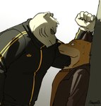 against_surface against_wall anthro bodily_fluids clothing duo facial_scar kabedon male scar sweat nyaalgebra odd_taxi fuyuki_yamamoto_(odd_taxi) sekiguchi_(odd_taxi) bear canid canine fox mammal polar_bear ursine hi_res