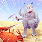 anthro clothing crouching duo feral fight fur knife male outside swimwear tail tongue tongue_out schlafennigredo fight_crab mythology senky arthropod crab crustacean decapoda dragon furred_dragon furred_scalie malacostracan marine mythological_creature mythological_scalie scalie 1:1 2020 hi_res