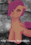 bodily_fluids crying equid equine feathered_wings feathers female feral friendship_is_magic fur hachiko hair hasbro low_res mammal my_little_pony mythological_creature mythological_equine mythology orange_body orange_feathers orange_fur pegasus purple_hair sad scootaloo_(mlp) solo tears wings young young_feral