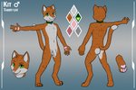 anthro balls bell bell_collar collar flaccid foreskin fur genitals green_eyes male orange_body orange_fur pawpads penis solo linkscape kit_blackstone domestic_cat felid feline felis mammal tabby_cat model_sheet