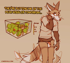 anthro balls biped bottomless bottomless_anthro bottomless_male brown_body brown_fur clothed clothing ear_twitch flaccid food foreskin fruit fur genitals humanoid_genitalia humanoid_penis humor male male_anthro multicolored_body multicolored_fur pear penis plant shirt solo t-shirt t-shirt_on_long_sleeve text topwear white_body white_fur lawyerdog pear_wiggler cantio_(lawyerdog) canid canine canis coyote mammal 2025 digital_media_(artwork) english_text meme url