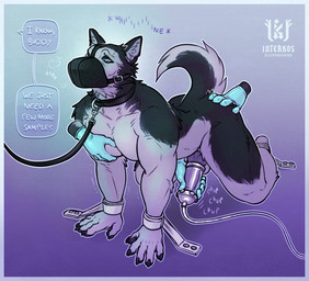 all_fours ambiguous_gender animal_genitalia animal_penis anthro bdsm black_body black_fur blue_background blue_eyes canine_genitalia canine_penis chest_grope clothing collar cuff_(restraint) disembodied_hand fur genitals gloves gradient_background grope groping_chest group handwear knot knotted_penis latex latex_clothing latex_gloves latex_handwear leash leashed_collar leather male male/ambiguous male_anthro medfet medical medical_fetish medical_gloves medical_play muzzle_(object) muzzled nude_anthro nude_male overstimulation pec_grab pecs penile penis penis_milking penis_milking_machine petplay puppyplay purple_background restraints roleplay simple_background submissive submissive_anthro submissive_male tail whining white_body white_fur interkos kinktober kinktober_2025 canid canine canis domestic_dog husky mammal nordic_sled_dog spitz 2025 absurd_res hi_res