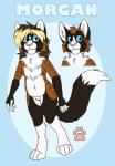 anthro blonde_hair blue_sclera brown_body brown_fur eyewear fur glasses hair solo standing white_body white_fur shikakaka morgan_(cat)_(shikakaka) ailurid domestic_cat felid feline felis hybrid mammal red_panda model_sheet