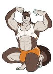 2020 abs anthro barefoot biceps biped black_nose blue_eyes blue_pawpads bottomwear brown_body brown_fur bulge canid canine canis clothing crop_top crouching domestic_dog feet flexing fluffy fluffy_tail fur grin hi_res highlights_(coloring) himbo himbo_hooters hooters_uniform husky kneeling male mammal multicolored_body multicolored_fur muscular muscular_anthro muscular_male name_tag nipple_outline nordic_sled_dog orange_bottomwear orange_clothing orange_shorts pawpads pecs pinup plantigrade pose purpledragonrei shirt shorts simple_background smile solo spitz tail tank_top topwear two_tone_body two_tone_fur two_tone_tail were werecanid werecanine weredog white_background white_body white_fur