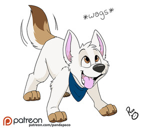 brown_eyes brown_tail feral fur glistening glistening_eyes leg_tuft logo looking_up male male_feral open_mouth open_smile patreon_logo simple_background smile solo tail tail_motion tailwag tuft white_background white_body white_fur white_tail pandapaco patreon canid canine mammal artist_logo signature