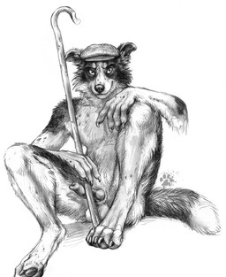 animal_genitalia animal_penis anthro arm_tuft balls canine_genitalia canine_penis claws clothing elbow_tuft erection finger_claws flat_cap fur genitals hat headgear headwear knot knotted_penis looking_at_viewer male nude nude_anthro nude_male pawpads paws penis shepherd's_crook simple_background sitting solo tail toe_claws tuft wearing_hat white_background blotch scratches_volume_6 border_collie canid canine canis collie domestic_dog herding_dog mammal pastoral_dog sheepdog 2012 hi_res monochrome traditional_media_(artwork)