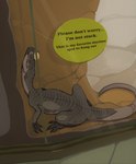 against_surface ambiguous_gender brown_body brown_feathers brown_scales claws enclosure eyes_closed feathers feral grey_body grey_feathers grey_scales head_crest inside markings on_glass rock scales sleeping solo striped_markings stripes text bluekiwi101 dinosaur feathered_dinosaur feathered_scalie kileskus prehistoric_species reptile scalie theropod tyrannosauroid english_text hi_res signature
