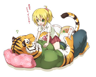 anthro biceps big_muscles book bottomwear clothed clothing countershading duo female female_on_top fur hair lying male male_on_bottom miniskirt multicolored_body multicolored_fur muscular muscular_male on_back on_bottom on_top ponytail question_mark size_difference skirt straddling striped_body striped_fur stripes text young young_female young_human giraffe_(artist) lam-chan lily_(giraffe) felid human mammal pantherine tiger 5:4 japanese_text translated