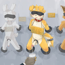 accessory anthro balls black_nose blindfold blush bodily_fluids collar cum cum_in_a_cup cum_in_container erection eyebrows facial_tuft floppy_ears fluffy fluffy_tail fur furgonomics genital_fluids genitals gold_ring grey_body grey_fur group hand_tuft inner_ear_fluff jewelry kemono male male_anthro motion_lines multicolored_body multicolored_fur navel orgasm penile penis penis_milking red_collar restrained_arms restrained_legs sign tail tail_accessory tail_bracelet tail_jewelry text through_wall tuft two_tone_body two_tone_fur vein veiny_penis white_balls white_body white_eyebrows white_fur white_inner_ear white_inner_ear_fluff white_penis yellow_body yellow_fur young young_anthro young_male regcron crowl_(regcron) canid canine canis domestic_dog fox lagomorph leporid mammal rabbit 1:1 2025 english_text hi_res