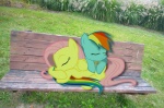 bench blue_body blue_fur cutie_mark day duo english_text equid equine eyes_closed feathered_wings feathers female feral fluttershy_(mlp) friendship_is_magic fur grass hair hasbro hi_res mammal mixed_media multicolored_hair my_little_pony mythological_creature mythological_equine mythology on_bench park pegasus pink_hair plant ponies_in_real_life quadruped rainbow_dash_(mlp) rainbow_hair real sleeping tail text unknown_artist wings yellow_body yellow_feathers