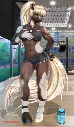 anthro athletic athletic_anthro athletic_female athletic_wear bottle bottomwear bra breasts clothed clothing clothing_lift container female fingers fur gym gym_bottomwear gym_shorts hair hooves inside looking_at_viewer navel shorts smile solo sports_bra standing tail teeth topwear topwear_lift under_boob underwear weights dwality equid equine horse mammal absurd_res digital_media_(artwork) hi_res