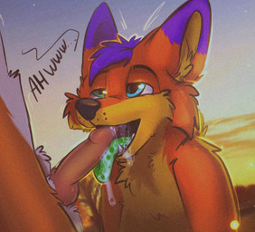 animal_genitalia animal_penis anthro bodily_fluids canine_genitalia canine_penis cum cum_in_mouth cum_inside duo fellatio genital_fluids genitals heterochromia knot male male/male oral outside penile penis sex solo_focus sunset fox4 pur3bolt rosfox canid canine fox mammal