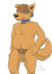 anthro balls collar collar_only featureless_chest flaccid foreskin fur genitals humanoid_genitalia humanoid_penis male nude penis pose scruffy simple_background slightly_chubby slightly_chubby_male solo yellow_body yellow_fur mr_fuwa deli_(delirost) canid canine canis domestic_dog mammal absurd_res hi_res