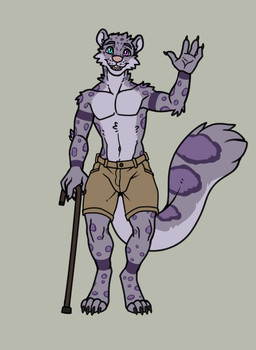 anthro blue_eyes bottomwear cane clothed clothing disability fur grey_body grey_fur heterochromia male markings purple_eyes shorts solo spots spotted_body spotted_fur topless walking_stick sharkiedude felid mammal pantherine snow_leopard absurd_res hi_res