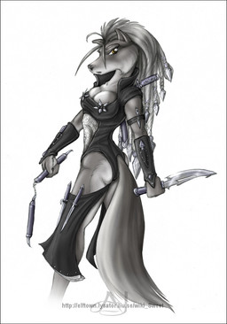 anthro border clothed clothing dagger female fur grey_body grey_border grey_fur hair holding_object holding_weapon leather melee_weapon ninja open_mouth orange_eyes simple_background solo warrior weapon white_background amanda_james nim canid canine canis mammal wolf digital_media_(artwork)