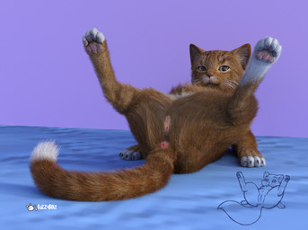 animal_genitalia animal_vulva anus brown_body brown_fur claws comparison dipstick_tail feline_genitalia feline_vulva female female_feral feral fur genitals looking_at_viewer lying markings multicolored_tail on_back pawpads paws presenting presenting_vulva realistic realistic_feral simple_background solo spread_legs spreading tail tail_markings vulva fuzzyfelt nekostar domestic_cat felid feline felis mammal 2019 3d_(artwork) digital_media_(artwork) e621_post_recursion signature
