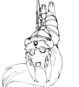 anthro arms_tied bdsm bdsm_gear bent_legs bound claws dipstick_ears ear_markings female flat_chested fluffy fur legs_tied legs_up long_tail looking_at_viewer markings multicolored_ears nude open_mouth solo striped_markings striped_tail stripes surprised suspension tail tail_markings upside_down rikokyu dota valve valve_corporation hoodwink_(dota) mammal rodent sciurid tree_squirrel hi_res monochrome