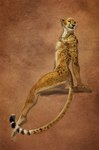 anthro jewelry jewelry_only looking_back male nude orange_eyes plantigrade solo tasteful_nudity kittiara cheetah felid feline mammal 2024 digital_media_(artwork) hi_res