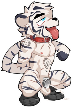anthro bdsm black_clothing black_footwear black_socks bodily_fluids chastity_cage chastity_device chibi clothing collar crouching cum cum_drip cum_strand cum_while_chaste dripping ear_piercing ear_tag ejaculation eye_roll flat_chastity_cage footwear genital_fluids hands_behind_back male nude piercing scar shoeprint_on_body side_view simple_background socks solo submissive tongue tongue_out white_background duolai8 qibajiu_(qibajiutts) felid mammal pantherine tiger