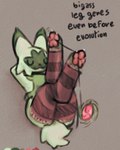 3_toes ambiguous_gender anthro between_toes clothing digitigrade feet feet_up foot_focus footwear legwear lying pawpads paws semi-anthro socks soles solo stockings thigh_highs toeless_footwear toeless_socks toes yo-yo miii_cho nintendo pokemon felid feline floragato generation_9_pokemon mammal pokemon_(species) 4:5
