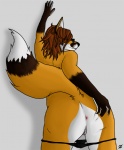 anthro anus bent_over brown_hair butt canine eyewear female fox fur glasses hair kiri_taggart looking_back mammal orange_fur panties presenting presenting_hindquarters pussy solo spread_butt spreading underwear wall
Rating: Explicit
Score: 13
User: Tokeli
Date: March 19, 2013