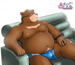 anthro biped black_nose blue_eyes blush boxer_briefs brown_body brown_fur bulge clothing fur furniture male moobs navel nipples overweight overweight_anthro overweight_male sitting sofa solo underwear shinoda_hamazaki bear brown_bear grizzly_bear mammal ursine hi_res