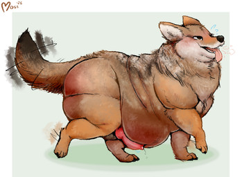 animal_genitalia animal_penis balls belly big_belly bodily_fluids breath canine_genitalia canine_penis feral genital_fluids genitals knot looking_pleasured male morbidly_obese obese obese_feral overweight overweight_feral panting penis precum solo walking fluffmoss canid canine canis coyote mammal absurd_res hi_res